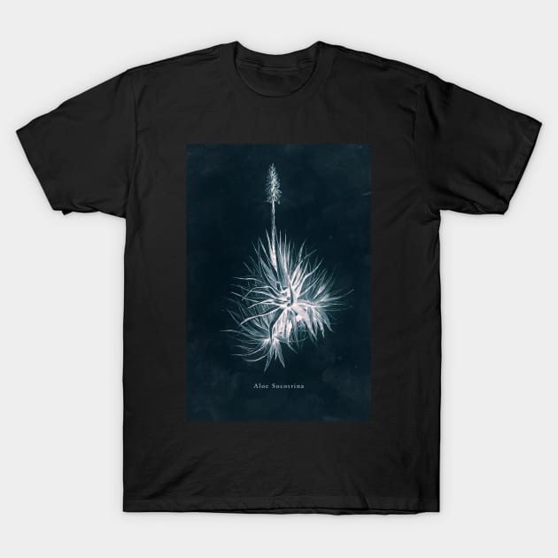 Cyanotype - Aloe Socotrina T-Shirt by PixelHunter